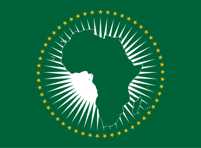Bandiera_Unione_Africana.svg